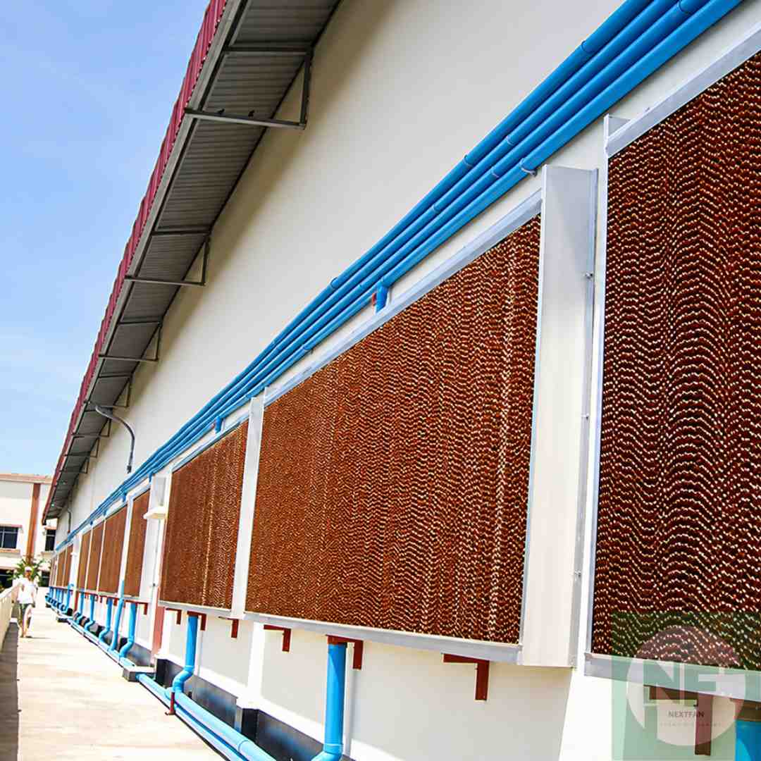 Làm mát nhà xưởng ở vùng nóng ẩm: cooling pad hay giải pháp khác? 2 Hệ thống làm mát nhà xưởng bằng cooling pad