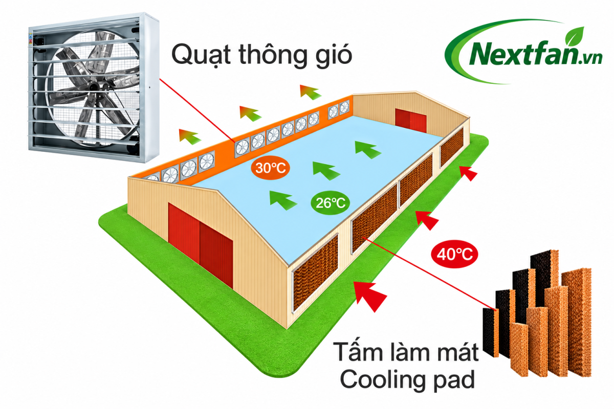 sơ đồ hệ thống làm mát cooling pad